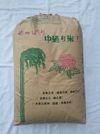 令和7年産　福島県産　ひとめぼれ　30kg（精米無料）送料無料※※北海道、沖縄は発送見合わせております。