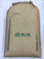 楽天市場】玄米30kg 栃木産の通販