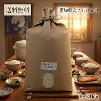 楽天市場】愛知県産コシヒカリ 30kgの通販