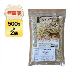 L 1kgi500g×2܁ji_Ew엿 sgpjyE䂤pPbgցz