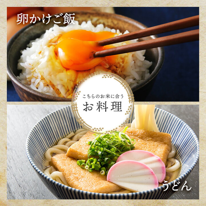 楽天市場】新米 令和7年産(2025年) 岩手県産 銀河のしずく 白米  