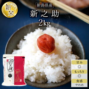 V ߘa7NY(2025N) V̐Vuh VV  2kgyzyđ܂͒f[Uzyoׁz