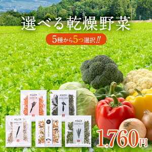あなたが選ぶ★乾燥野菜セット 【5種類から5つ選択します】【送料無料・ゆうパケット便】