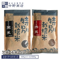 北海道産 黒米・赤米セット 各2合 約300g×2 合計約600g 北海道米 雑穀 セットネコポスで発送