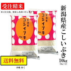 楽天市場 高級米 10kgの通販