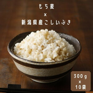 yHׂG~bNXzy薳āz    VY Ԃ i225gj{  i75gj~bNX 300g(2j×10 uh ނ  G  V uh Mtg