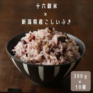 yHׂG~bNXzy\Z  z \Z G   VY Ԃ i270gj{\Zi30gj~bNX300g(2j×10 16 uh 茺 h{  N