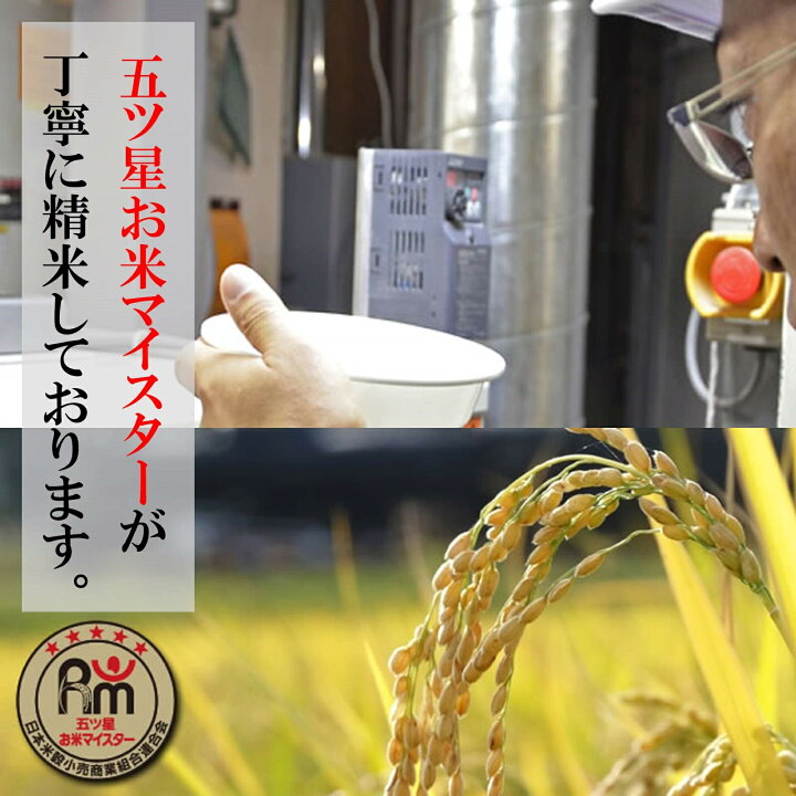 楽天市場】受注精米 【 新潟県産 コシヒカリ 】 ( 5kg ) 令和7年産 お 