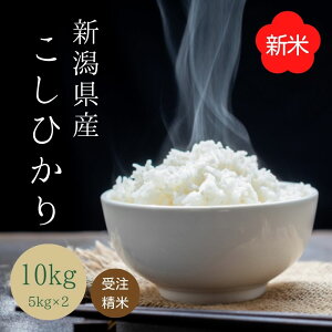 y Vē z󒍐 y VY RVqJ z ( 10kg ( 5kg x 2 ) ) ߘa7NY   V  V Ђ  10kg Mtg 10L uh  R 10L 䒆