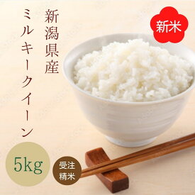【 新米入荷 】受注精米 【 新潟県産 ミルキークイーン 】 ( 5kg ) 令和7年産 新米 5キロ お米 米 白米 おこめ 送料無料 コメ 7年 精米5kg 精白米 新潟県 ブランド米 新潟米 米5kg お米5キロ 大粒 内祝い お中元 ギフト 御中元 お取り寄せ 優良米 贈答