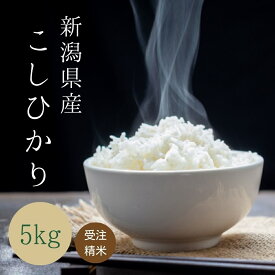 受注精米 【 新潟県産 コシヒカリ 】 ( 5kg ) 令和7年産 お米 米 送料無料 白米 こめ おこめ コメ こしひかり 精米 新潟こしひかり ブランド米 新潟米 米5kg お米5キロ 大粒 父の日 ギフト 御中元 お取り寄せ 優良米 贈答 新潟県産コシヒカリ5kg