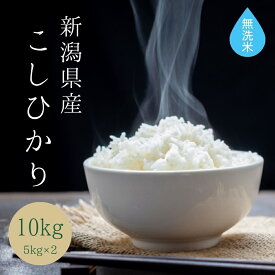 無洗米 【 新潟県産 コシヒカリ 】( 10kg ( 5kg × 2袋 )) 令和5年産 あす楽 送料無料 お米 白米 10キロ おこめ 令和5年 新潟こしひかり 新潟米 米10キロ 米 コメ 大粒 米10kg 内祝い 無洗米10kg 父の日 ギフト お中元 贈り物 お取り寄せ