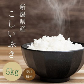 受注精米 【 新潟県産 こしいぶき 】 ( 5kg ) 令和5年産 お米 （5キロ） 送料無料 米 新潟 令和5年 ブランド 新潟米 こめ コメ おこめ 精白米 高級米 ブランド米 お米5キロ お弁当 産地直送 ギフト 御中元 贈り物 お中元 贈答 優良米