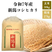 楽天市場】精米 27キロの通販