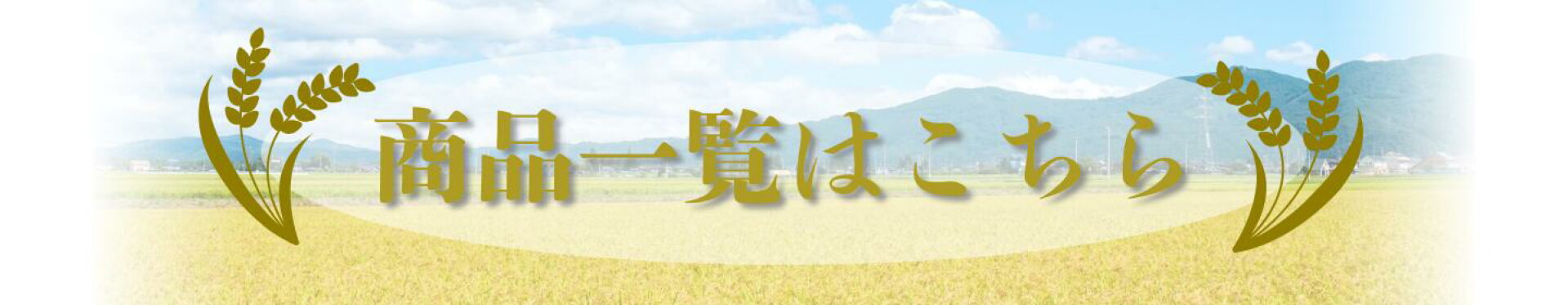 商品一覧