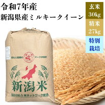 楽天市場】お米 27キロの通販