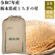 楽天市場】米30kg 栃木県産コシヒカリの通販