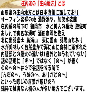 山形県産もち米でわのもち1.5kg≪5kg以上の商品と同梱なら750円≫【米送料無料(九州・沖縄・中国・四国・北海道を除く)】【もち米】