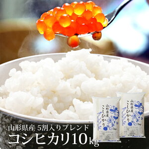 RVqJ 5 10kg  nCNXuh Iׂ鐸ĕ@ (/) ߘa7NY R`Y ꕔn͕ʓrǉ  R 