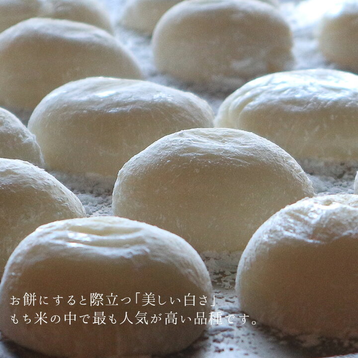 楽天市場】令和7年産 もち米 30kg (5kg×6袋) 送料無料 山形県産 