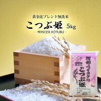 無洗米 送料無料 5kg こつぶ姫 5kg袋×1ケ 
