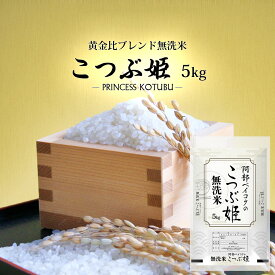 無洗米 送料無料 5kg こつぶ姫 5kg袋×1ケ 【別途送料加算地域あり】