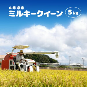 V ߘa7N ~L[NC[ 5kg  Iׂ鐸(āAāA) R`Y ꕔn͕ʓrǉ  R 