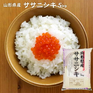 V ߘa7N  5kg  // R`Y TTjVL (5kg×1) 5L  R (͕ʓrǉ)