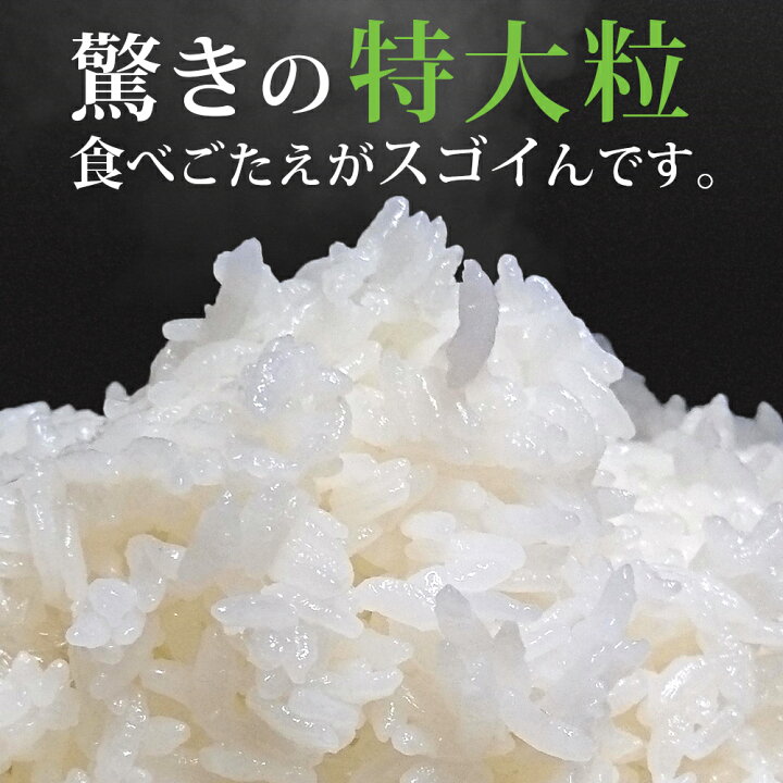楽天市場】令和7年 雪若丸 20kg(5kgx4袋) 山形県産 送料無料 選べる 