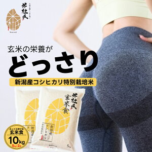 XbLT|[g ĐH V RVqJ 100%gp ߘa6NY LȂ ʍ͔| 10kg ( 5kg × 2 ) ĂƓю Z  ēm Nu   uhĂȂ P
