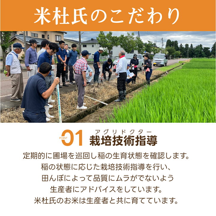 楽天市場】お米 岩船産コシヒカリ 送料無料 米杜氏 20kg 10kg 5kg 【令 