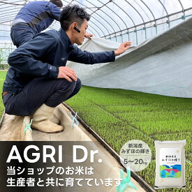 お米 新潟産みずほの輝き 送料無料 新米 米杜氏 20kg 10kg 5kg 【令和7年産】新潟米 精米 白米 産地直送 安い