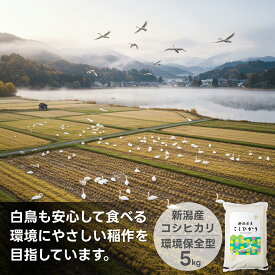 お米 新潟産コシヒカリ 送料無料 米杜氏 20kg 10kg 5kg 【令和7年産 】 新潟米 精米 白米 産地直送 安い
