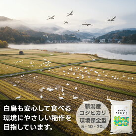 お米 新潟産コシヒカリ 送料無料 新米 米杜氏 20kg 10kg 5kg 【令和7年産 】 新潟米 精米 白米 産地直送 安い