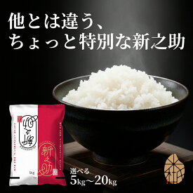 お米 新之助 送料無料 新米 米杜氏 20kg 10kg 5kg 【令和7年産】新潟米 精米 白米 産地直送 安い