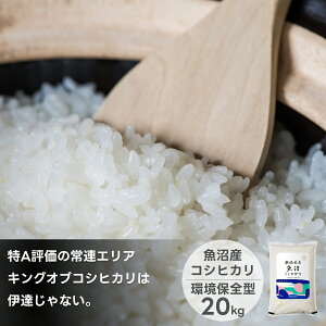 ߘa7NY Y RVqJ 5kg 10kg 20kg  Yn   ēm  Mtg 蕨 5kg 10kg 20L   R Ε  V Ђ V  A 