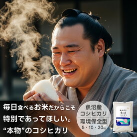 お米 魚沼産コシヒカリ 送料無料 新米 米杜氏 20kg 10kg 5kg 【令和7年産】新潟米 精米 白米 産地直送 お米 安い