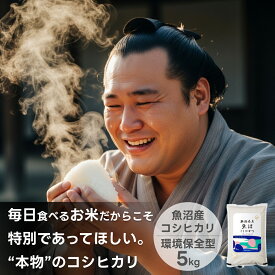 お米 魚沼産コシヒカリ 送料無料 新米 米杜氏 20kg 10kg 5kg 【令和7年産】新潟米 精米 白米 産地直送 お米 安い