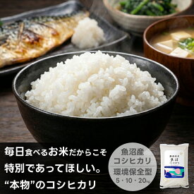 お米 魚沼産コシヒカリ 送料無料 新米 米杜氏 20kg 10kg 5kg 【令和7年産】新潟米 精米 白米 産地直送 お米 安い
