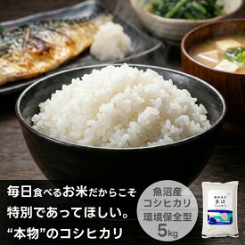 お米 魚沼産コシヒカリ 送料無料 米杜氏 20kg 10kg 5kg 【令和7年産】新潟米 精米 白米 産地直送 お米 安い
