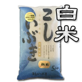 【送料無料（一部地域を除く）】越後長岡地区限定！新潟産こしいぶき　5kg×2袋　〔令和5年産〕　新潟でしか栽培されていない若い世代に人気の銘柄米♪新潟から産地直送でお届けします♪