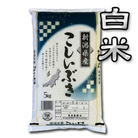 【令和7年産】【送料無料（一部地域を除く）】越後長岡地区限定！新潟産こしいぶき　10kg（5kg×2袋）　新潟でしか栽培されていない若い世代に人気の銘柄米♪新潟から産地直送でお届けします♪