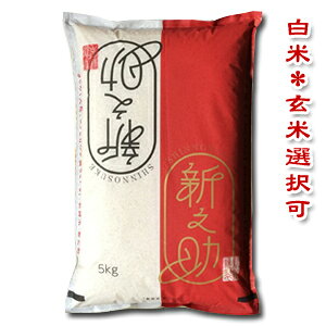 yVāzyߘa7NYzyiꕔnjzyʍ͔|āzVYVV@5kg܁yorāzI߂嗱{̂Ă̐VIyyMt_zyyMt_