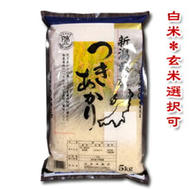 【令和7年産】【送料無料（一部地域を除く）】新潟県長岡産つきあかり　5kg袋　大粒でツヤツヤ♪保温後も美味しさが持続！新潟から産地直送でお届けします♪