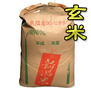 yVāzyߘa7NYzyiꕔnjzII싛YRVqJgāh@25kg܁@Hς݁In̒łlC̍싛ĂłyĖzy񓙕āz