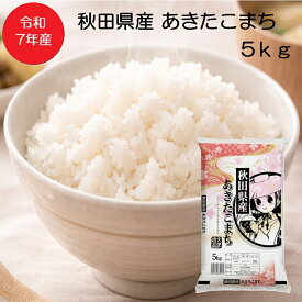 【送料無料】【楽天市場オープン記念価格！】令和7年産 あきたこまち 1等米 精米 5kg