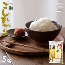 令和5年産 佐賀県産 三瀬コシヒカリ 5kg 白米 精米 お米【送料無料】