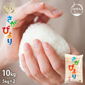 令和5年産 佐賀県産 さがびより 10kg 白米 精米 お米【送料無料】