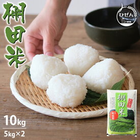 令和7年産 佐賀県産 脊振棚田米 10kg 白米 精米 お米【送料無料】
