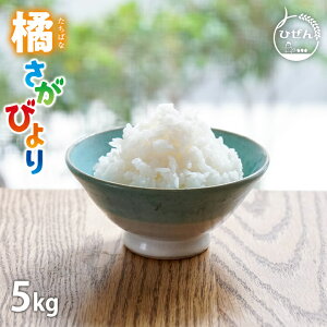 yVāzߘa7NY ꌧY k т 5kg   Ys Yn